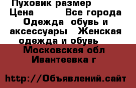 Пуховик размер 42-44 › Цена ­ 750 - Все города Одежда, обувь и аксессуары » Женская одежда и обувь   . Московская обл.,Ивантеевка г.